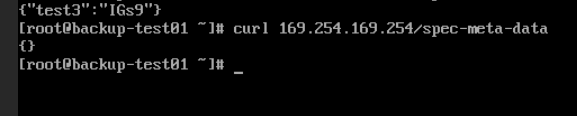 curl_test4.png